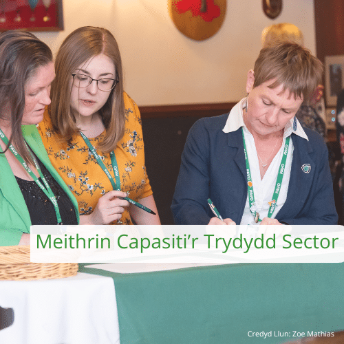 Development Support - For Organisations CYM