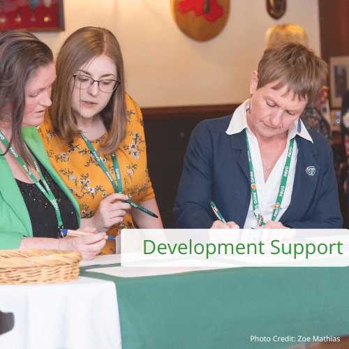 Development Support - For Organisations