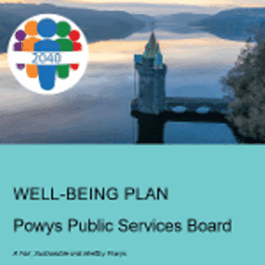 Powys Well-being plan Powys Well-being plan
