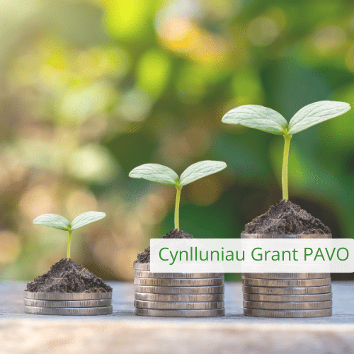 PAVO Grant schemes CYM