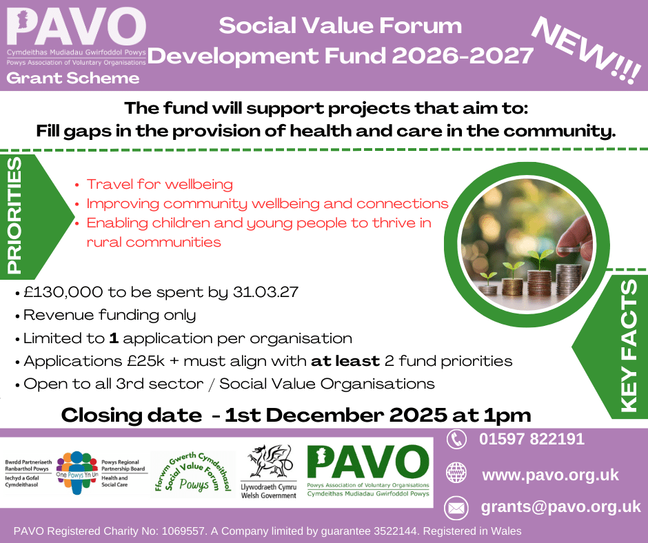 ENG - SVF Fund 2025 - 2027